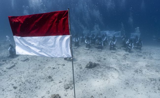 PIS Gelar Upacara Bendera di Bawah Laut & Transplantasi Terumbu Karang di Labuan Bajo